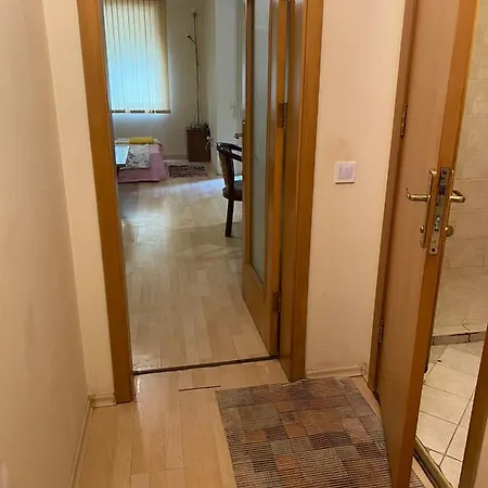 столетов * Varna