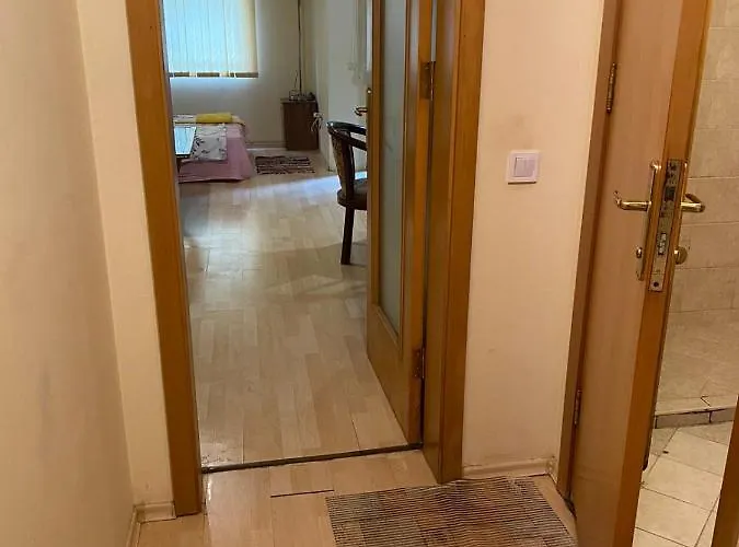 столетов * Varna