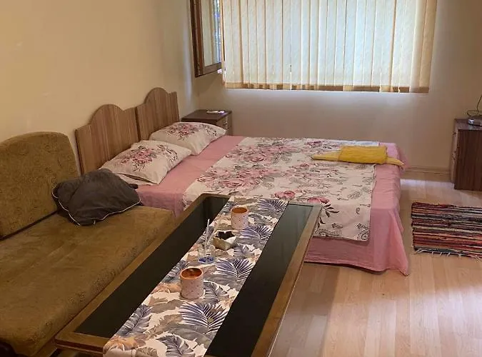 столетов Appartement *